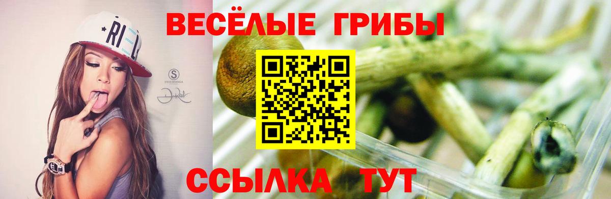 Галлюциногенные грибы Psilocybe Трёхгорный