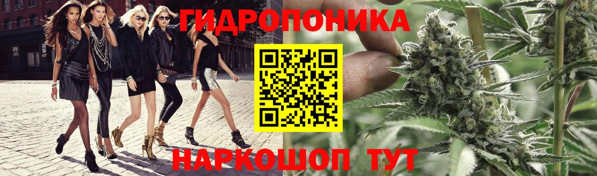 Каннабис OG Kush Трёхгорный